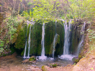 Canvas Print - Cascade in the forest