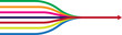 © Shalitha Ranathunge - multi color line come and join to one single line