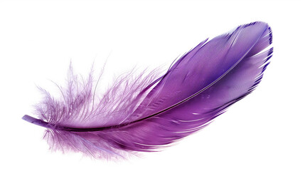 Wall Mural - A purple feather with a white background. The feather is long and thin, with a purple hue. Concept of elegance and grace, as feathers are often associated with birds and their natural beauty