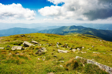 Wall Mural - mountainous landscape with alpine grassy meadow of mnt. petros in dappled light. carpathian mountain