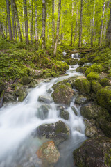  Rothbach Waterfall near Konigssee lake in Berchtesgaden National Park, Germany