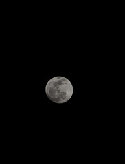 full moon in the night