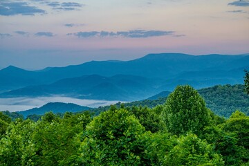 Canvas Print - BLUE RIDGE MOUNTAINS