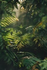 Poster - A photo of a tree with sunlight filtering through its leaves, providing dappled shade and highlighting the texture of the foliage