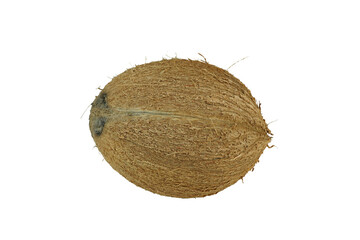 Wall Mural - coconut isolated on transparent background.