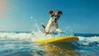 © rabbit75_fot - A dog surfing with high tide with water splashes