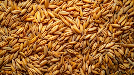 Canvas Print - wheat grains closeup view