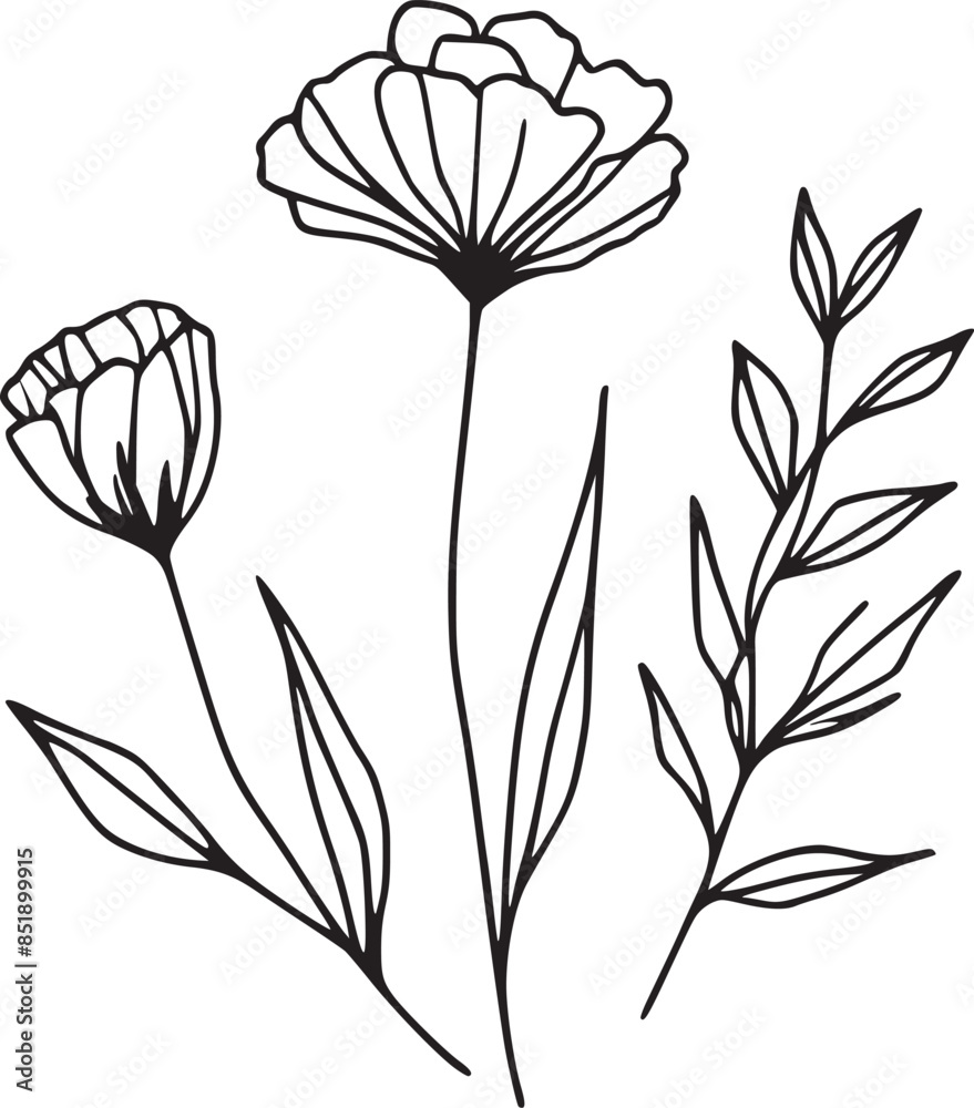 This is an illustration of flowers in a simple and modern line art ...