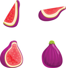 Poster - Ripe fig icons set cartoon vector. Purple summer tropical fruit. Healthy food
