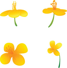 Poster - Celandine flower icons set cartoon vector. Bright yellow celandine flower. Medicinal plant