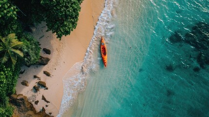 Wall Mural - A serene aerial view of a wooden kayak floating in the clear waters near a sandy beach, with lush green trees creating a beautiful natural landscape AIG50