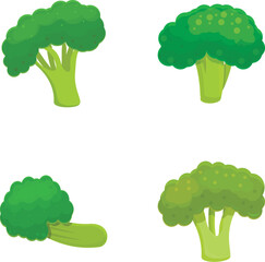 Poster - Green broccoli icons set cartoon vector. Organic broccoli cabbage on stalk. Healthy nutrition