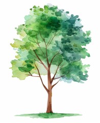 Wall Mural - A tree, a plant, a leaf, a leaf branch, an eco ecology environment, a floral forest, a natural concept icon, a symbol, a logo symbol, an oil painting on an isolated white background