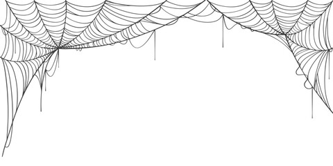 Canvas Print - spider web line art vector