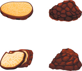 Poster - Truffle mushroom icons set cartoon vector. Delicacy mushroom black truffle. Rare and expensive vegetable
