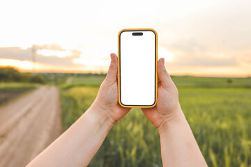 Phone with isolated screen on the background of a wheat field, farm