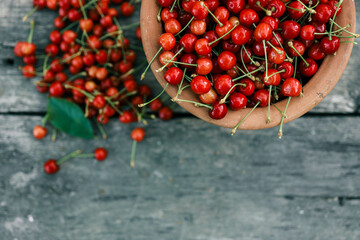 Wall Mural - Hand picking fresh delicious cherries, close-up. A woman's hand plucks juicy cherry berries from a tree. The concept of healthy eating. The concept of a healthy lifestyle