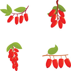 Poster - Sweet barberry icons set cartoon vector. Ripe red barberry on branch. Organic food