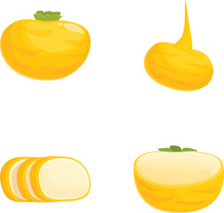 Poster - Vibrant set of cartoon illustrations featuring a whole and sliced yellow squash and an onion
