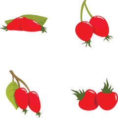 Poster - Vector set of various stylized red berries with leaves isolated on white background