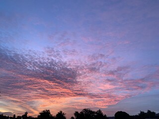 Wall Mural - sunset in the sky
