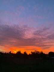 Wall Mural - sunset over the field