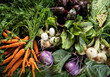 © Simi Jois - Root summer veggies