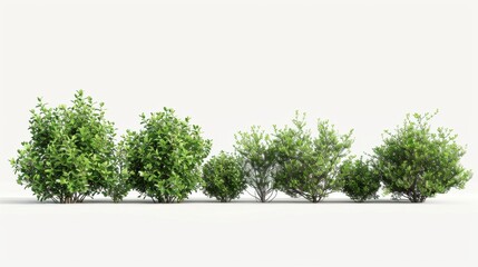Wall Mural - Bushes and Shrubs on White Background, Generative AI