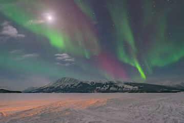 northern lights aurora seen outside of whitehorse in yukon territory, canada during winter time with
