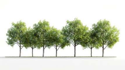 Wall Mural - Row of Green Trees on a White Background, Generative AI