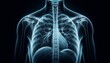 © FantasyLand86 - A highly detailed, close-up view of a healthy lung X-ray, focusing on the clear and detailed lung structures.