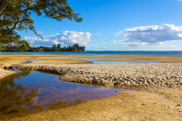 Wall Mural - Landscape Scenery of Awhitu Regional Park; Kauritutahi Beach; Auckland New Zealand