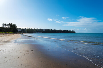 Wall Mural - Landscape Scenery Brownsbay Beach and Park, Auckland, New Zealand; Picnic Place for Family