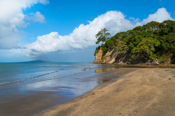 Wall Mural - Landscape Scenery Brownsbay Beach and Park, Auckland, New Zealand; Picnic Place for Family