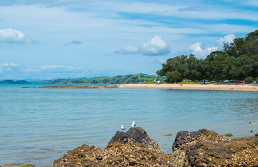 Wall Mural - Panoramic View of Waiomanu Beach, Maraetai Beach Auckland, New Zealand; Rocky Parts of the Beach during Low Tide