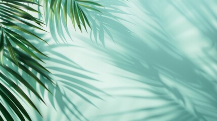 Poster - Abstract Tropic Mint-Colored Background with Soft Palm Tree Shadows Perfect for Mockup or Product Presentation Template