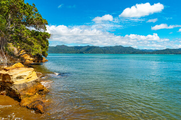 Wall Mural - Landscape Scenery of Brooks Beach during Low Tide; Awhitu Regional Park, Auckland New Zealand