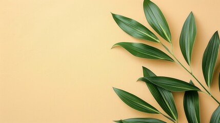 Wall Mural - A fresh and vibrant assembly of green leaves elegantly arranged on a smooth pale yellow surface, creating a natural and calming vibe