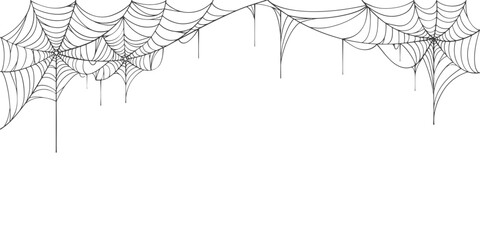 Wall Mural - background with cobweb, Spider web line art vector eps