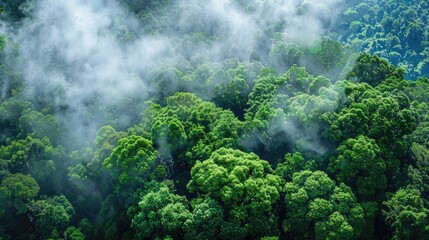 Sticker - A lush canopy of emerald green trees draped under a blanket of soft billowing white clouds