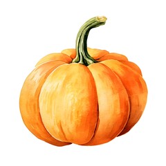 Wall Mural - Watercolor of Vibrant Kabocha Japanese Pumpkin on White Background