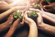 © peopleimages.com - Group, hands and growth of plants, nature and earth day for leaves, sustainability and support for garden. People, farmer and soil for agriculture, community and help for carbon footprint in summer