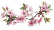© Sra - Beautiful watercolor illustration of a cherry blossom branch with delicate pink flowers and green leaves, perfect for spring-themed designs.