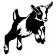 © VektorzDesign - Jumping Baby Goat