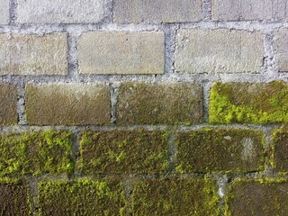 Brick wall with moss growing texture of old stone wall covered green moss