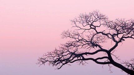 Sticker - tree in the sunset