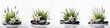 Four different arrangements of flowers and rocks on a white background