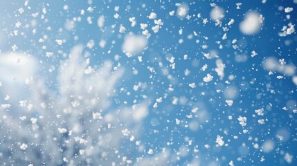 Poster - A photo of white snowflakes falling against a bright blue sky on a sunny winter day. The snowflakes are out of focus, creating a soft and blurry effect. The photo is a perfect representation of the be