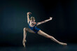 © Alex - ballerina in a blue leotard on a dark background stands on pointe shoes with her arms outstretched imitating a bird