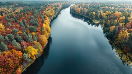 Poster - Aerial View of Autumn Forest and River Captured by Drone